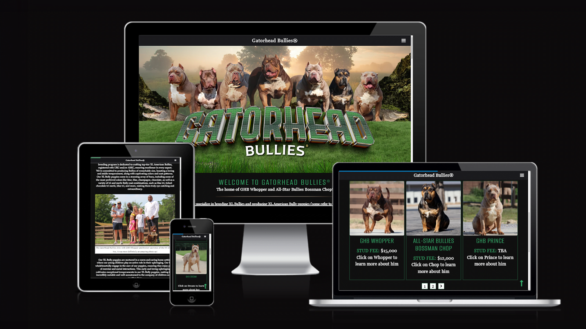 American Bully website design by Breeder Designs xl Bully web design projects