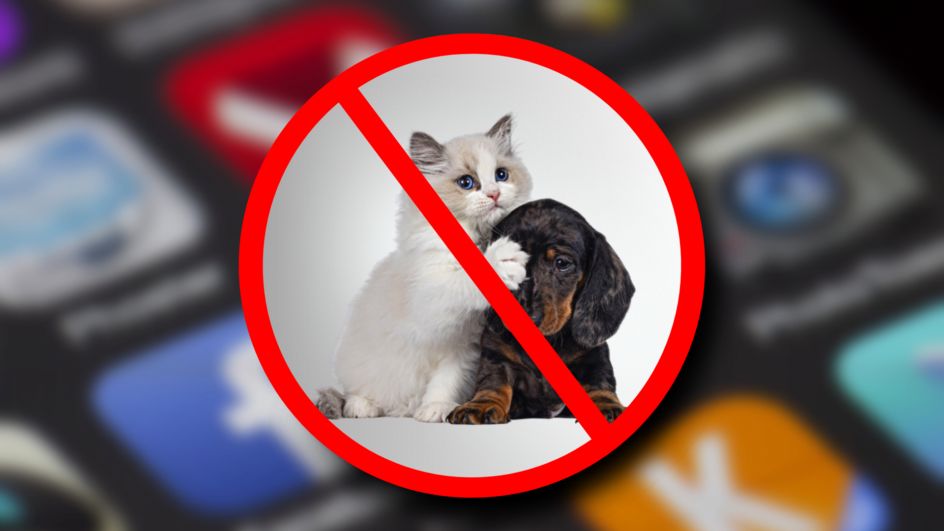 no animal sales allowed on social media platforms. this is why you need a breeder website.