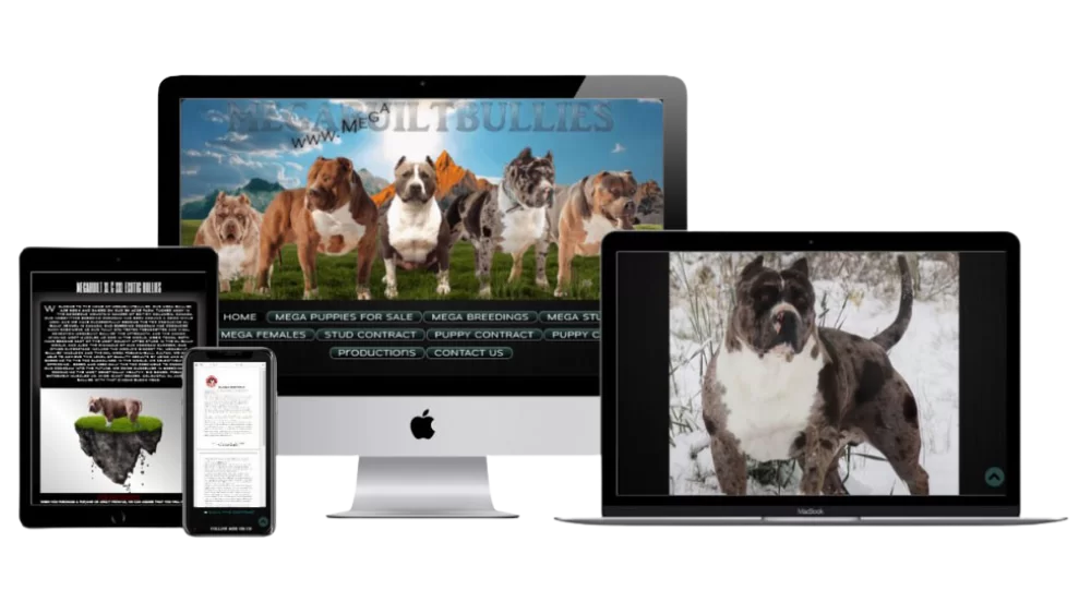 website builder for breeders