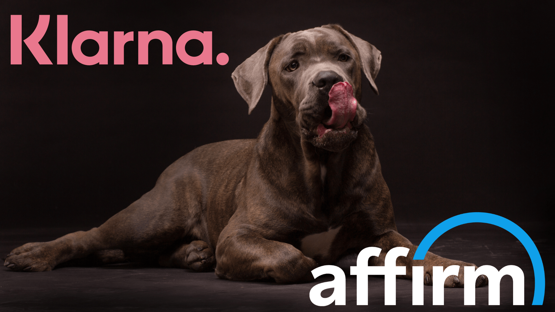 Financing Your Breeder Web Design Package with Klarna and Affirm