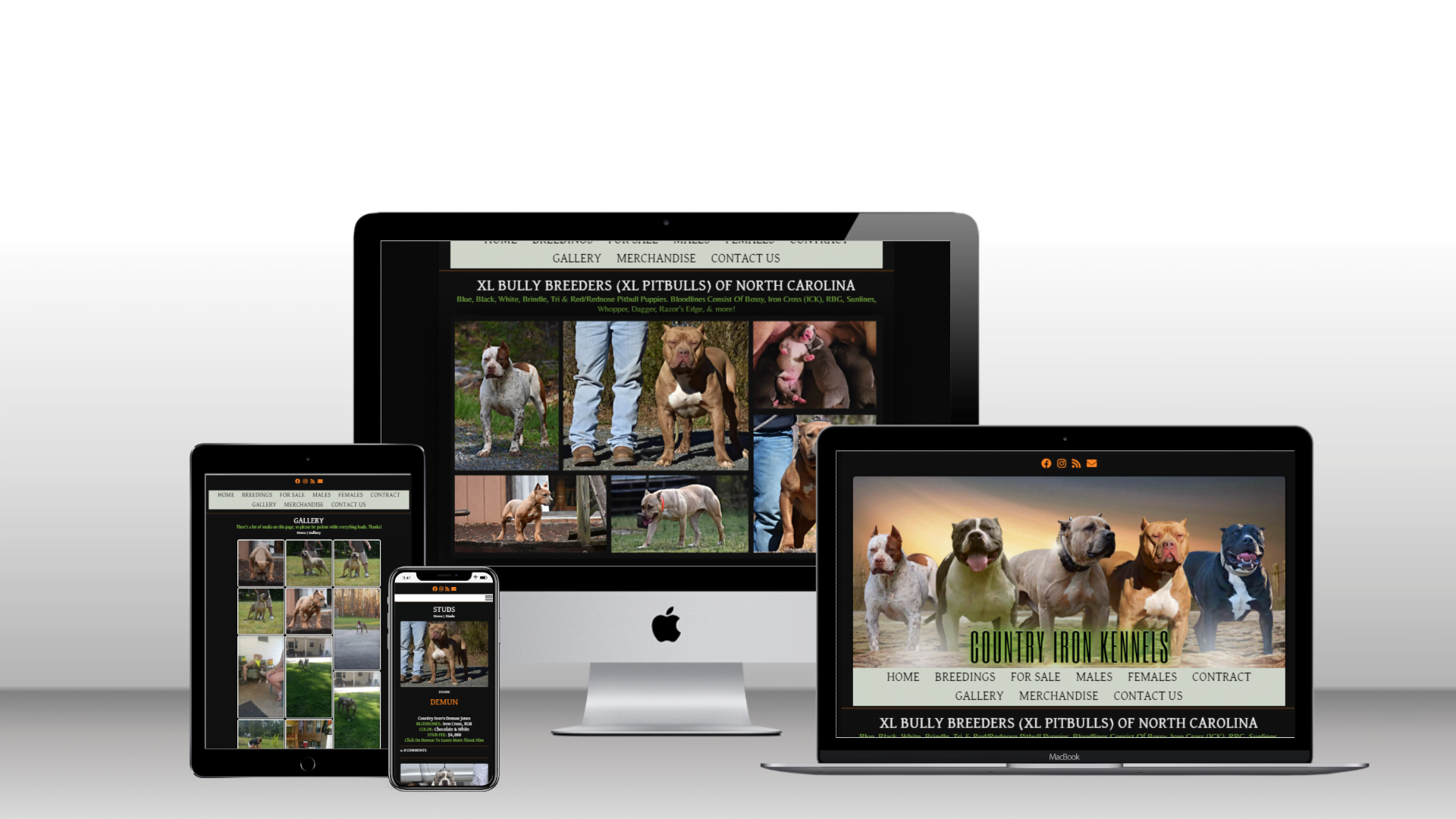 dog breeder web design and cat breeder web design starter package for new breeders. affordable pricing and financing.