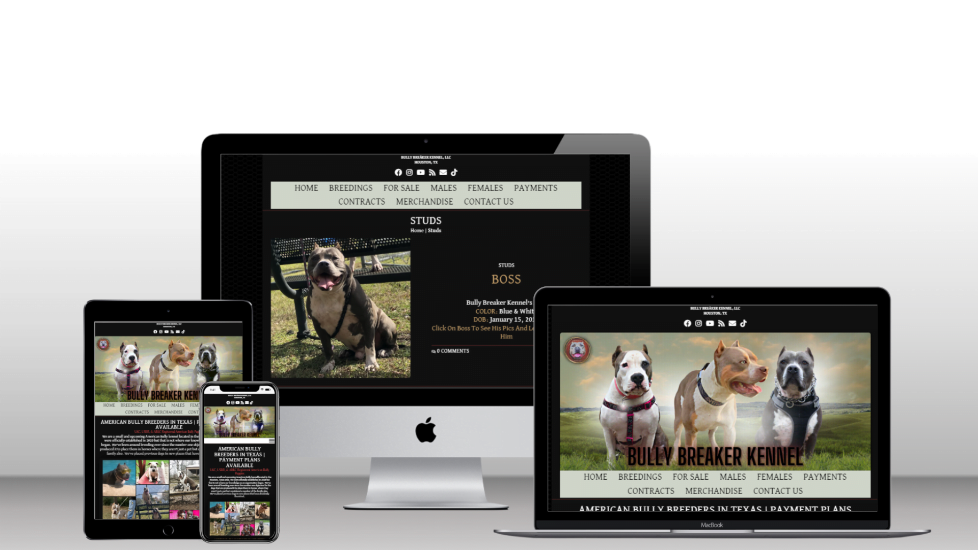 dog breeder website design and cat breeder website design platinum package for established breeders. affordable pricing and financing.