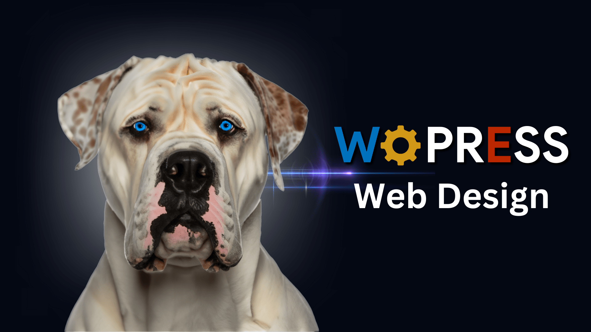 Wordpress website design and development for breeders is not just a talent but a skill that requires knowledge