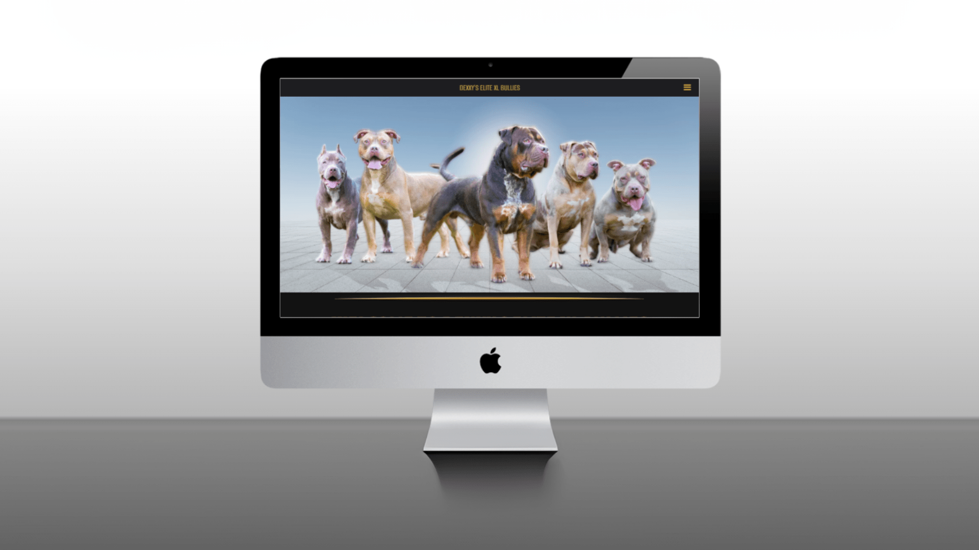 Why a Dog Breeder Web Design is Effective for Sales Than Social Media